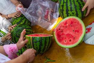 滨江 视频 吃瓜,吃瓜群众的热议焦点