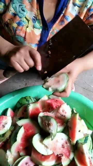 米虫瓜给牛吃,为牛提供营养新选择