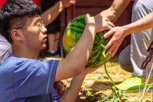 校园广场情侣吃瓜,甜蜜瞬间引围观