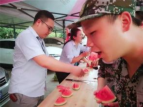 吃瓜群220085,一场网络热议背后的故事