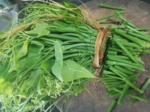 佛手瓜吃瓜吃苗,吃瓜吃苗，尽享田园美味