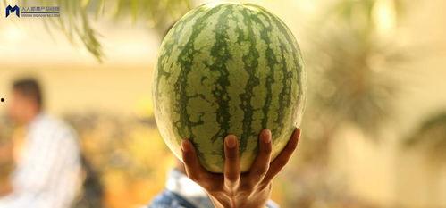西瓜人吃瓜魔,一场奇幻的瓜界对决