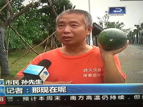 热点事件吃瓜加州