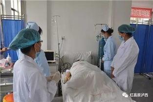 医院吃瓜情人,一场关于人生百态的温情演绎