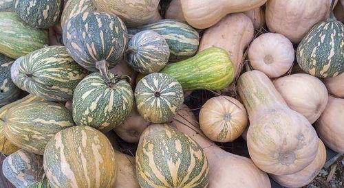 永康女吃瓜,揭秘网络热议背后的真相与反思