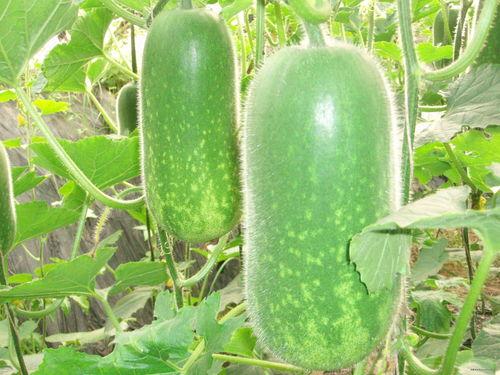 洞洞幺吃瓜,揭秘娱乐圈那些不为人知的幕后故事