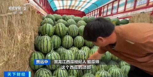 盐城宝马哥吃瓜