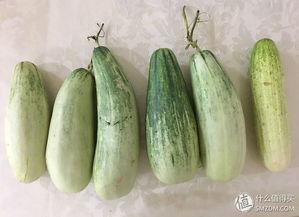 从吃瓜变成被吃瓜