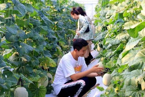 同步吃瓜,共享娱乐圈新鲜事