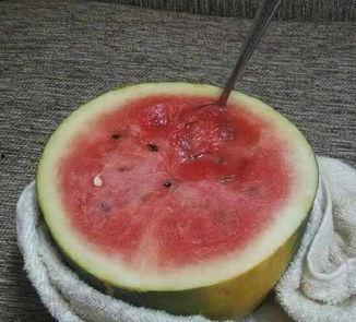 19岁吃瓜,19岁少女的瓜田奇遇记