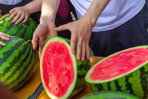 学校吃瓜平台,揭秘学校吃瓜平台的幕后故事